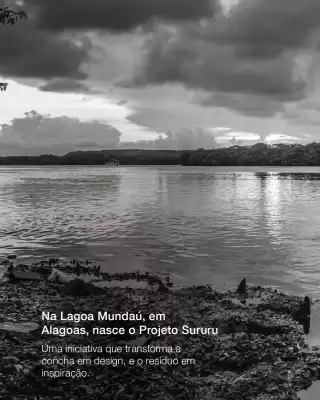 Catálogo Portobello (válido até 30-11)