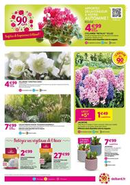 Catalogue Delbard page 3