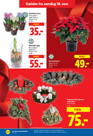 Lidl tilbudsavis uge 47 Side 31