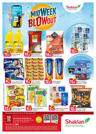 Shaklan leaflet Page 1