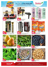 Shaklan leaflet Page 2