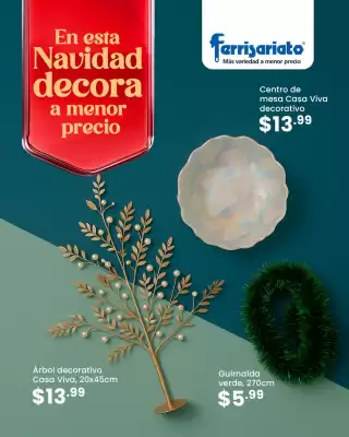 Catálogo Ferrisariato (válido hasta 12-11)