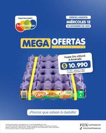 Catálogo Surtifamiliar Página 2