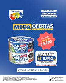 Catálogo Surtifamiliar Página 3