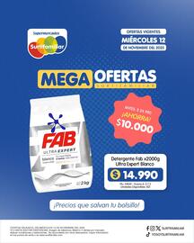 Catálogo Surtifamiliar Página 4