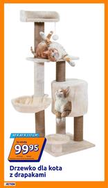 Action gazetka tydzień 46 Strona 13