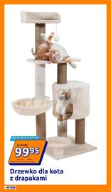 Action gazetka tydzień 46 Strona 13