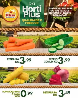 Folheto Rede Plus Supermercados (válido até 13-11)