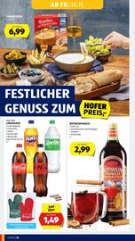 Hofer Flugblatt woche 46 Seite 12