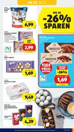 Hofer Flugblatt woche 46 Seite 13