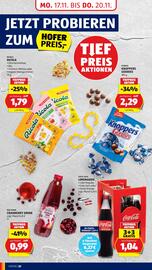 Hofer Flugblatt woche 46 Seite 22