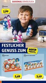 Hofer Flugblatt woche 46 Seite 38