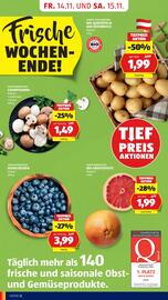 Hofer Flugblatt woche 46 Seite 4