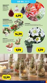 Hofer Flugblatt woche 46 Seite 49