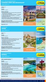 Hofer Flugblatt woche 46 Seite 51