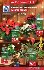 ALDI gazetka Strona 7