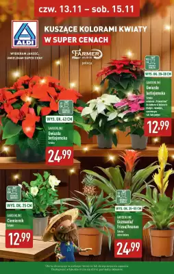 ALDI gazetka (ważność do 15-11)