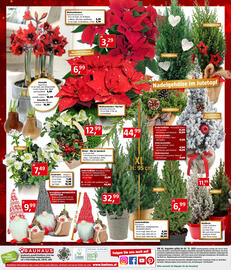 Bauhaus Flugblatt Seite 24