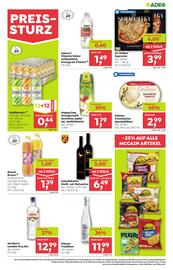 ADEG Flugblatt woche 46 Seite 9