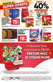 Catalog PROFI Pagină 16