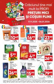 Catalog PROFI Pagină 17