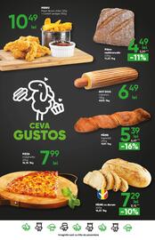 Catalog PROFI Pagină 23