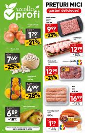 Catalog PROFI Pagină 4