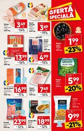 Catalog PROFI Pagină 5