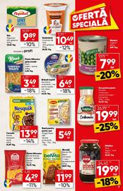 Catalog PROFI Pagină 7