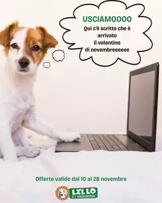 Volantino Lillo e i Vagabondi (valido fino al 28-11)