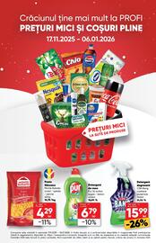 Catalog PROFI Pagină 7