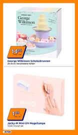 Action Flugblatt woche 46 Seite 11