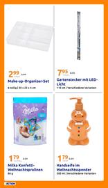 Action Flugblatt woche 46 Seite 28