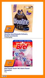 Action Flugblatt woche 46 Seite 29