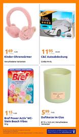 Action Flugblatt woche 46 Seite 30