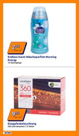 Action Flugblatt woche 46 Seite 5