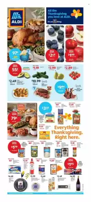 Aldi weekly ad (valid until 25-11)