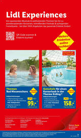 Lidl Reisen Prospekt Seite 3