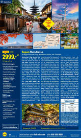 Lidl Reisen Prospekt Seite 36