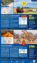 Lidl Reisen Prospekt Seite 37