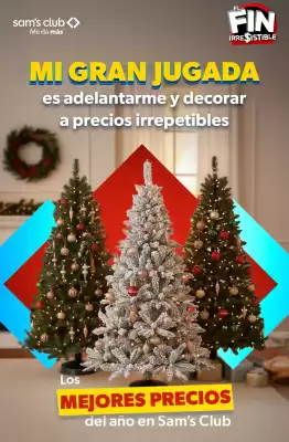 Catálogo Sam's Club (válido hasta 25-11)