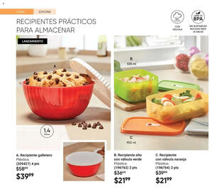 Catálogo Avon Página 42