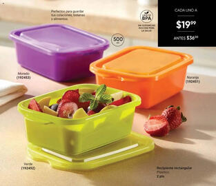 Catálogo Avon Página 43