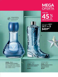 Catálogo Avon Página 70