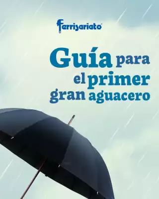 Catálogo Ferrisariato (válido hasta 18-11)