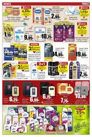 Folleto FROIZ Página 19