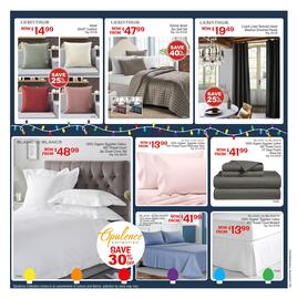 Beddington's flyer Page 2