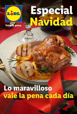 Catálogo Lidl (válido hasta el 16-11)