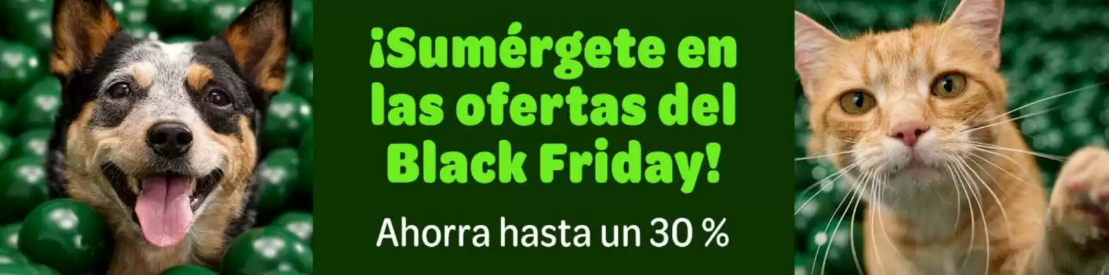 Folleto Zooplus (válido hasta el 18-11)