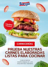 Folleto Sangüi Página 12